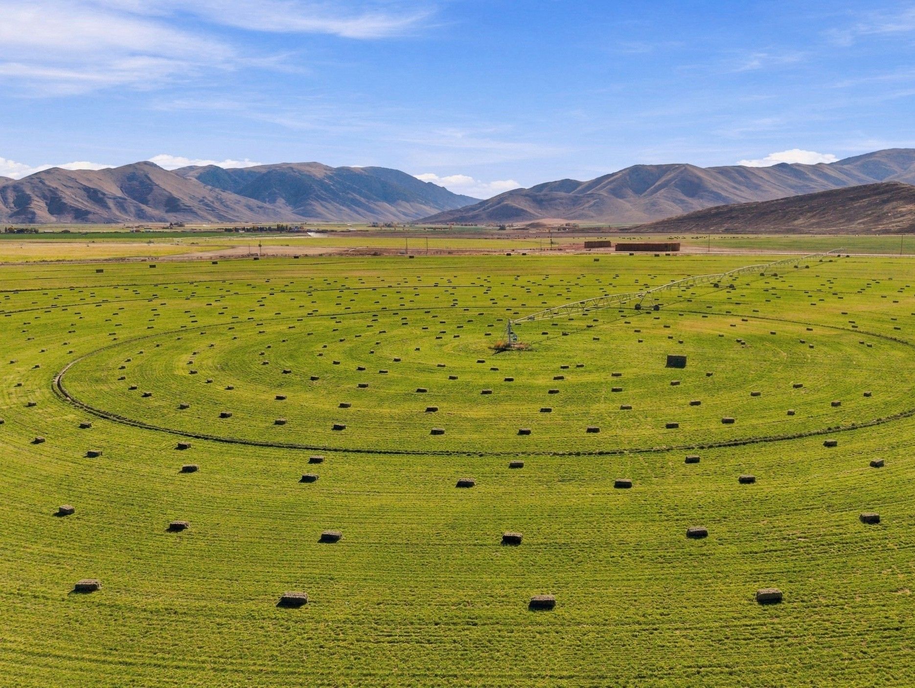 Listing Photo: Custer-County-Idaho-Irrigated-Farm-207-Acres (6)